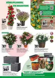 Hagebau Prospekt woche 16 Seite 3