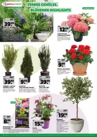 Hagebau Prospekt woche 16 Seite 4