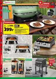 Hagebau Prospekt woche 16 Seite 8