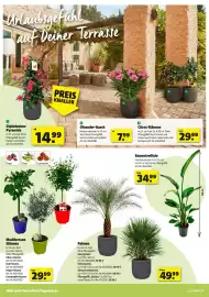 Hagebau Prospekt woche 16 Seite 2