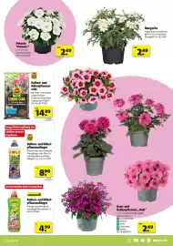 Hagebau Prospekt woche 16 Seite 3