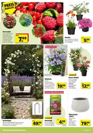 Hagebau Prospekt woche 16 Seite 4