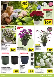 Hagebau Prospekt woche 16 Seite 5