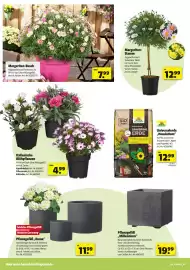 Hagebau Prospekt woche 16 Seite 6