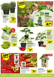 Hagebau Prospekt woche 16 Seite 7