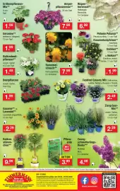 Zimmermann Prospekt woche 17 Seite 10