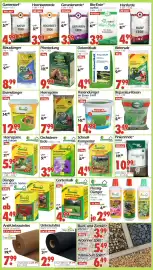 Wreesmann Prospekt Seite 2