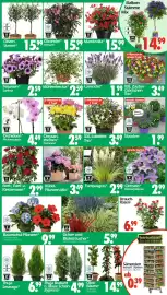 Wreesmann Prospekt Seite 3