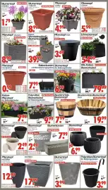 Wreesmann Prospekt Seite 7