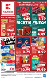 Kaufland Prospekt woche 17 Seite 1