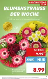 Kaufland Prospekt woche 17 Seite 49