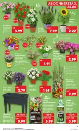 Kaufland Prospekt woche 17 Seite 5