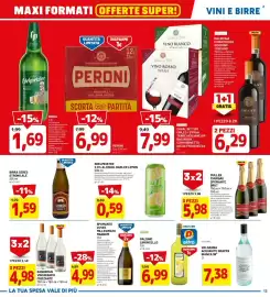 Volantino DPiù Pagina 13