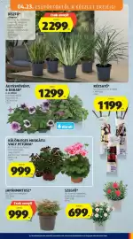 ALDI akciós újság hét 17 Oldal 31