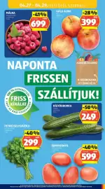 ALDI akciós újság hét 17 Oldal 33