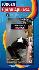 ALDI akciós újság hét 17 Oldal 43