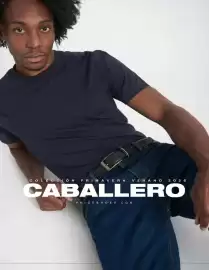 Catálogo Price Shoes Página 211