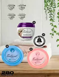 Catálogo Price Shoes Página 280