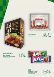 Amazing Oriëntal folder Pagina 16