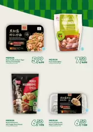 Amazing Oriëntal folder Pagina 9