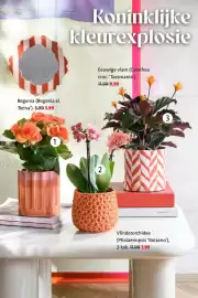 Intratuin folder week 17 Pagina 2