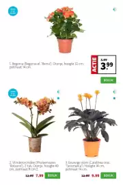 Intratuin folder week 17 Pagina 3