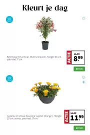 Intratuin folder week 17 Pagina 4