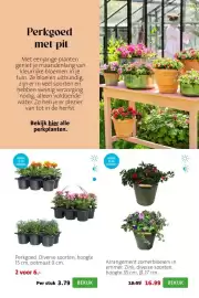 Intratuin folder week 17 Pagina 5