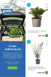 Intratuin folder week 17 Pagina 6