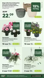 Pets Place folder Pagina 15