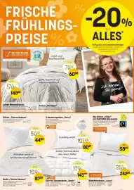 Reiter Flugblatt Seite 1