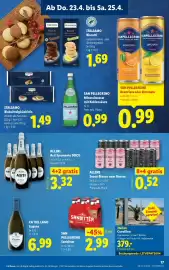 Lidl Flugblatt woche 17 Seite 19
