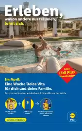 Lidl Flugblatt woche 17 Seite 2