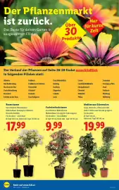 Lidl Flugblatt woche 17 Seite 28