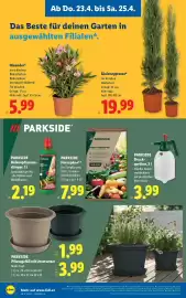 Lidl Flugblatt woche 17 Seite 30