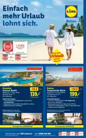 Lidl Flugblatt woche 17 Seite 32