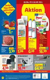 Lidl Flugblatt woche 17 Seite 34