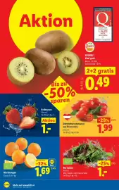 Lidl Flugblatt woche 17 Seite 43