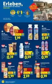 Lidl Flugblatt woche 17 Seite 45