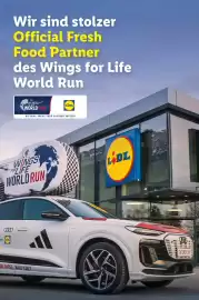 Lidl Flugblatt woche 17 Seite 52