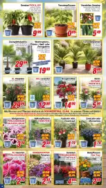 CENTERSHOP Prospekt woche 17 Seite 4