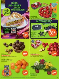 Tegut Prospekt Seite 5
