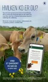 REMA 1000 tilbudsavis Side 24