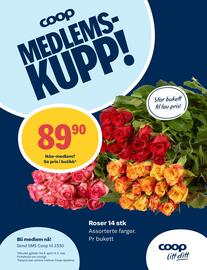 Matkroken kundeavis uke 17 Side 12