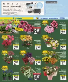 E-Center Prospekt Seite 21