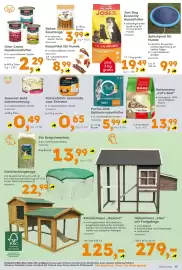 Globus Baumarkt Prospekt Seite 15