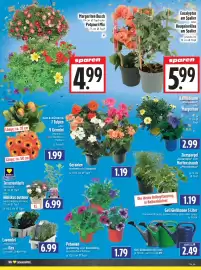 EDEKA Hahner Prospekt Seite 8