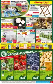 Norma Prospekt woche 18 Seite 5
