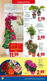 Volantino Lidl settimana 17 Pagina 40