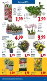 Volantino Lidl settimana 17 Pagina 41